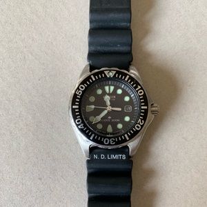 Citizen Eco-Drive Promaster Diver